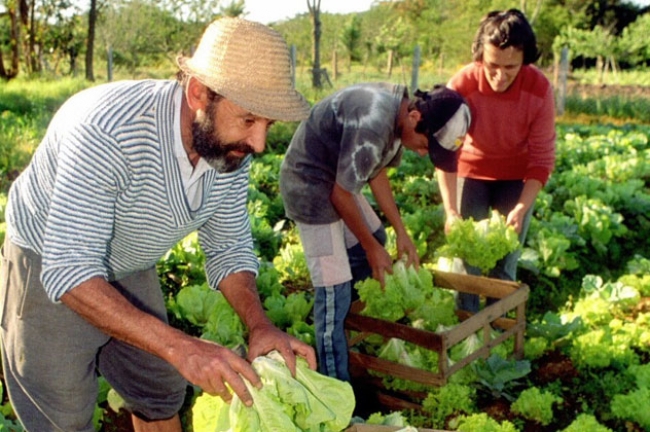 Soberanía Alimentaria